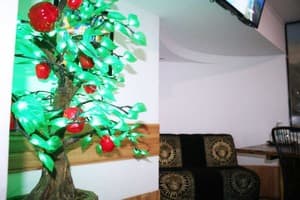 Мини-отель Mamba Hotel. №3 Номер с волнообразной кроватью “Тантра” – в укрытии 6