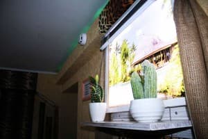 Мини-отель Mamba Hotel. №5 Двухкомнатный номер с джакузи и кинотеатром – в укрытии 15