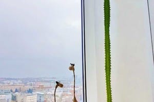 Апарт-отель Мост Сити Апарт Отель. Люкс двухместный  Носорог с 1 спальней + 2 детей за дополнительную стоимость 8