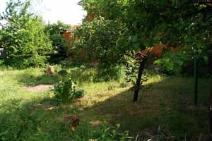 Моя зупиночка 14