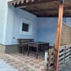 Подорожник 9